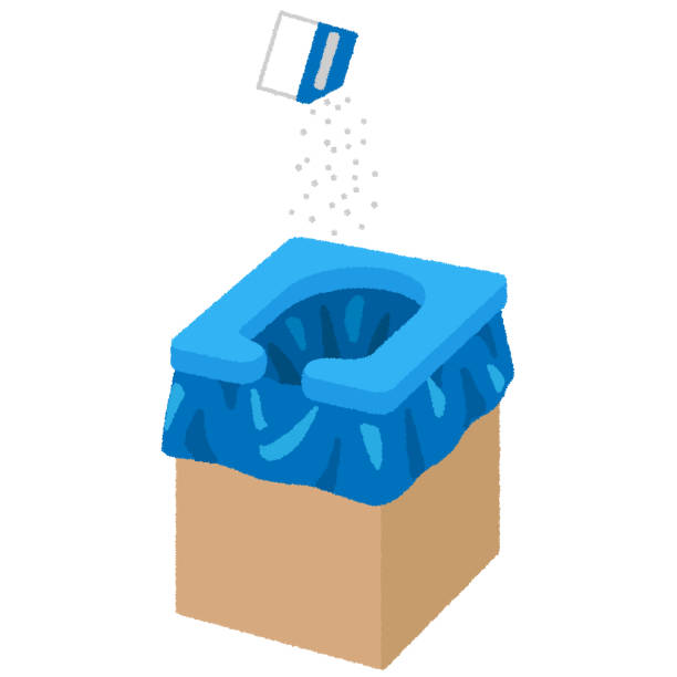 Best Affordable portable toilet rental  in Wallis, TX